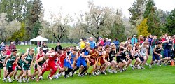 AND THEY’RE OFF - The start of the boys CTL Cross Country Championships held in Chelan last weekend. Lake Roosevelt took home championship honors for the boys and Chelan was the top finisher for the girls.