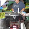 CRACK UP - Consulo Padilla is normally a fast apple packer for Gold Digger Apples, but teasing by her fellow workers as she posed for a picture led to a temporary break in the action as she got a case of the giggles. Padilla was packing for Gold Digger at