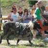<html> <head> </head> <body> <div align="right"><i>Photo by Amy Veneziano</i> </div> <p> </p> <p> This mutt won Best Dressed for under 12 (the girl is under 12). It's an Irish Wolfhound. Wearing fatigues and