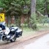 <p align="right"><i> Photo by Gary DeVon</i></p><p> My GS on assignment at Lost Lake Campground while covering Oroville students on their Pioneer Trail Ride.</p>