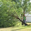 <html> <head> </head> <body> <p align="right"><i>Photo by Amy Veneziano</i> </p> <p> Checking out the damage was an exciting adventure for some local kids, who found this tree behind the EMS building in Tonasket.