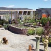 <html> <head> </head> <body> <div align="right"><i>Photo by Charlene Helm</i> </div> <p> </p> <p> The Shady Creek Gardens and Ponds shop recently relocated to an Omak location. They carry a variety of pond a