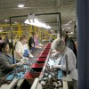 The cherry lines at Gold Digger will employ some 270 people this harvest.