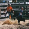 Seven-year-old Nick Taylor from Puyallup, Wash. tries his hand at calf riding. Taylor hung on while his calf shot like a rocket from the shoot. Taylor got a dollar for his ride. He was one of several youngsters who rode a calf last Saturday during the Che