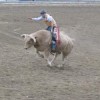Photo by Emily HansonJace Berg from Colville riding Frostbite in the Open Bull Riding Event at the Tonasket Rodeo Grounds on Friday, Aug. 28. Berg took first place in the event with 144 points on two bulls. He was the only rider to ride both his bulls, ri