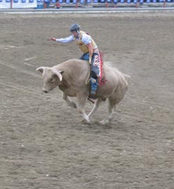 Photo by Emily HansonJace Berg from Colville riding Frostbite in the Open Bull Riding Event at the Tonasket Rodeo Grounds on Friday, Aug. 28. Berg took first place in the event with 144 points on two bulls. He was the only rider to ride both his bulls, ri