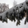Winter weather has struck Okanogan County in both the valleys and the highlands. The National Weather Service is predicting more snow through Sunday and the County Public Works Department has announced cutbacks in snowplowing. Photo by Gary DeVon