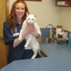 Kelly Schmidtbauer, shown here is a new veterinarian at the Alpine Veterinarian Clinic in Omak and has been since mid-April. Photo by Charlene Helm