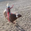 Willie Ives, Omak, Jeremy Ives’ cousin, riding in the Jeremy Ives Open Bull Riding Memorial on Saturday, June 5. Photo by Terry Mills