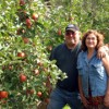 Aristeo Maldonado and his wife, Evelia, are the originally owners of the Maldonado family orchards Los Hermanos Maldonado and M&A Orchard II, which are just outside of Tonasket on Highway 7. The orchards have been owned and run by the Maldonado family