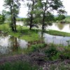 <p class=PhotoByline><span style='font-size:9.0pt;font-family:Arial;font-weight:normal'>Photo by Emily Hanson</span></p><span style='font-size:11.0pt;font-family:Arial;'>The pasturelands on the east side of the Ellisforde Bridge filled with water on Monda