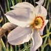 “In Search of Nectar,” an example of local artist Jim Weaver’s work in watercolor. He will have a Watercolor Art Show at the Oroville Senior Center from 10 a.m. to 5 p.m. on Saturday during Heritage Days. The artist says 20 percent of the proceeds f