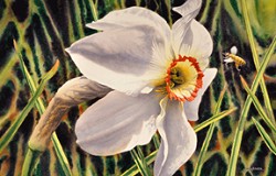 “In Search of Nectar,” an example of local artist Jim Weaver’s work in watercolor. He will have a Watercolor Art Show at the Oroville Senior Center from 10 a.m. to 5 p.m. on Saturday during Heritage Days. The artist says 20 percent of the proceeds f