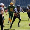 Hornet JD King just before he recovers a fumble and runs 27-yards for a touchdown for Oroville at the Emerald City Kickoff Classic at CenturyLink Field. Photo by Tony Kindred