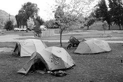 A few of the tents set up at Oroville's Lake Osoyoos Veterans Memorial Park. Photo by Gary DeVon