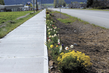 Oroville High School senior Leo Delgado proposed installing irrigation to water the plants and flowers along the Pedestrian Project sidewalk on the south end of town. The drip irrigation would be placed under bark and the pipe would have to cross undernea