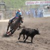 Corey Olson of Chesaw throws a loop in the Junior Breakaway Roping at the Chesaw Fourth of July Rodeo. Olson, who took second place in the Pee Wee Barrels earned Junior All Around Cowboy honors. Photo by Gary DeVon