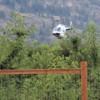 A helicopter from RJ Helicopters hovers over a cherry orchard off Sawtell Rd. in an effort to dry off one of the many rains that have hit the valley this summer. There is always a danger the fruit will split after a rain followed by a heat cycle so grower