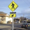 Crossing light