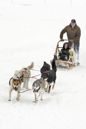 The dog sled demonstrations are always popular at the  NCW Ice Fishing Festival which takes place in February in Molson. Gary DeVon/staff photo