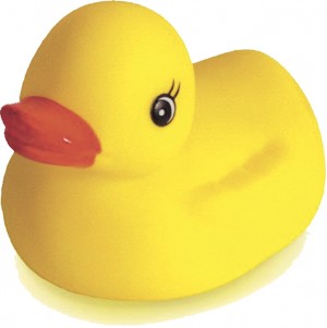 Ducky-2-31