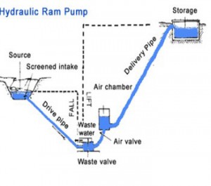 GT FR Teresa Ram Pump 36