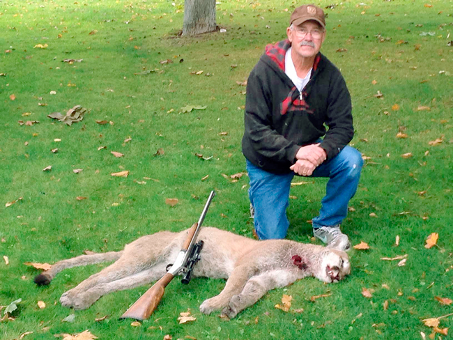 Hunter kills cougar believed to have been killing pets Okanogan
