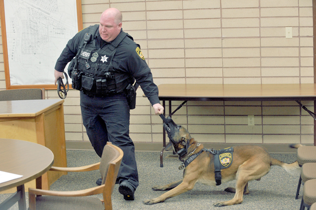 Deputy Shane Jones and Basco, a Belgian Malinois with the Okanogan County Sheriff’s office. Basco demonstrated his ability to sniff out  drugs that were hidden in the Oroville City Council chambers last Tuesday. The dog can also be used to track and apprehend suspects. Gary DeVon/staff photo