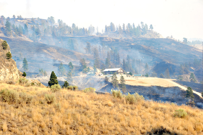 Several houses could be seen seemingly unscathed by Thursday's fire at the top of the Nine Mile Ranch development. As of Thursday evening there had been no official reports about how many acres had burned and whether homes and structures had been lost. 