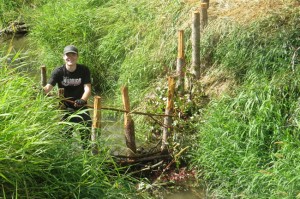 Community member Abe Podkranic helps weave a beaver dam analogue, using freshly cut red osier dogwood and willow