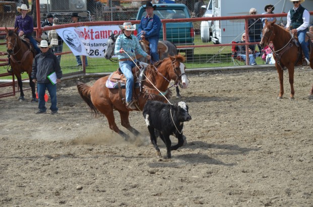 Katie Teachout/staff photo Krista Marchand took first in Breakaway Roping after snagging this calf straight out of the gate, with a time of 3.125 seconds. Marchand, of Omak, was named All Around Winner for Senior Girls. She also took first in Steer Daubing and Pole Bending, and fourth in Goat Tying. 