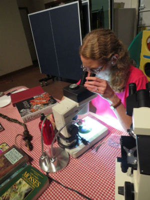 Erica Heinlen uses a dissecting scope to identify lichen at OHA’s “Evening with the Experts” event in 2014. 
