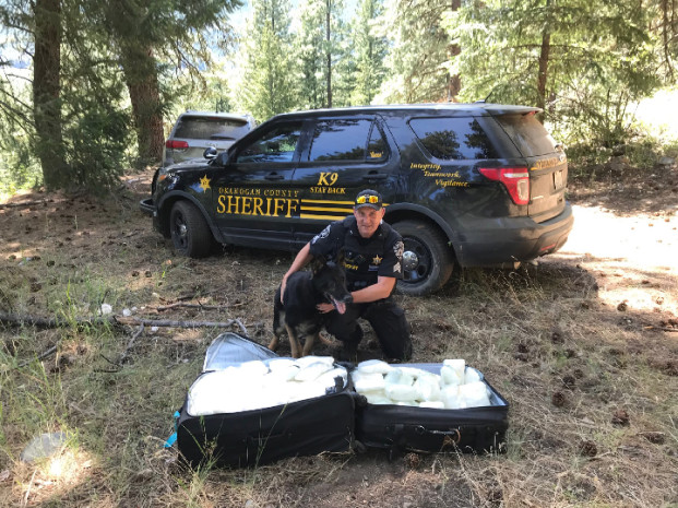 OCSO photo Sgt. Gene Davis and K9 Gunner with the Okanogan County Sheriff's Department assisted Homeland Security Investigations with a narcotics search last Monday. Gunner located two suitcase full of methamphetamine weighing 186 pounds and an estimated street value of $1million.