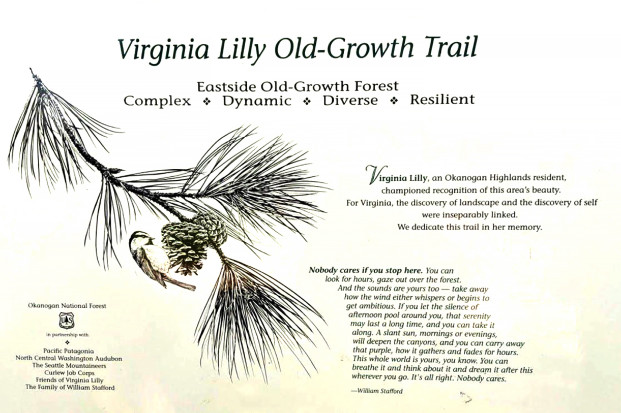 Sign marking the beginning of the Virginia Lilly Trail.