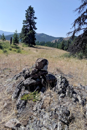 Rock cairns, in addition to orange blazes and wooden trail signs, mark the route.