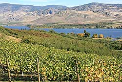 Photo by Rick BramanGroups such as the Lake Osoyoos Association and the Osoyoos Water Quality Society are working to preserve the water quality in Lake Osoyoos, viewed here from a vineyard in Oroville. The Lake Osoyoos Association recently heard there may