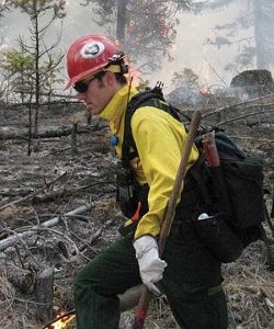 Photos by Amy VenezianoA firefighter continues to set fire while a ponderosa pine burns up in a crown fire behind him. Crown fires can send flames as much as 300 feet into the air.