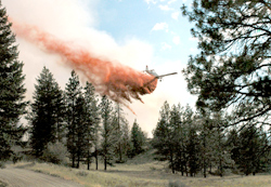 Photo by Joe Somday	A Department of Natural Resources plane drops retardant on areas near a fire off Canyon Spur Road east of Oroville. The fire was started by fireworks July 4.
