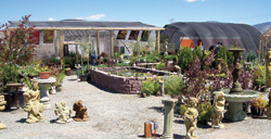 Photo by Charlene Helm                &amp;nbsp;&amp;nbsp;&amp;nbsp; The Shady Creek Gardens and Ponds shop recently relocated to an Omak location. They carry a variety of pond a