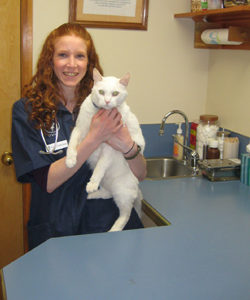 Kelly Schmidtbauer, shown here is a new veterinarian at the Alpine Veterinarian Clinic in Omak and has been since mid-April. Photo by Charlene Helm