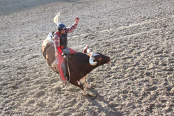 1353a Willie Ives, Omak, Jeremy Ives’ cousin, riding in the Jeremy Ives Open Bull Riding Memorial on Saturday, June 5. Photo by Terry Mills