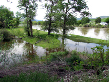 Photo by Emily HansonThe pasturelands on the east side of the Ellisforde Bridge filled with water on Monda