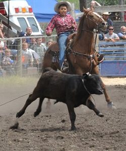 Oliver Williams was the only young cowboy to rope a calf in the junior cow-roping event at the Chesaw Fourth of July Rodeo. Photo by Gary DeVon