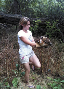 Lisa Lindsay capturing an ill red-tailed hawk.