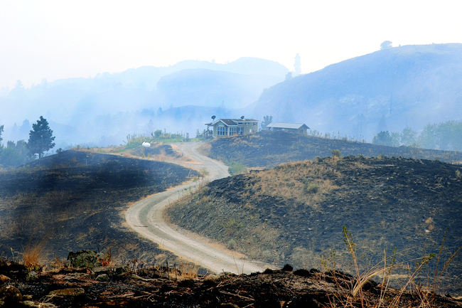 Tonasket EMS Director Michael Greene and family were among the lucky ones as their North Pine Creek Rd. residence was sapred by fire, although most of the land around the home looked like scorched earth. Katie Teachout/Staff Photo
