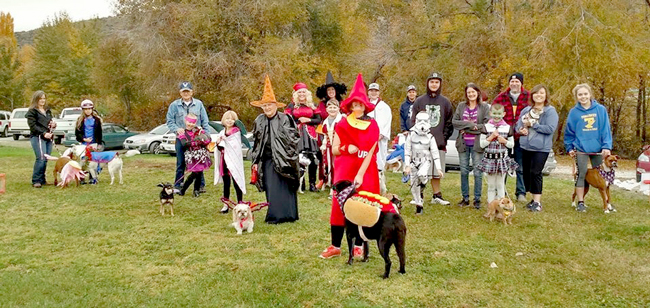Halloween-Dog-Walk-1-45