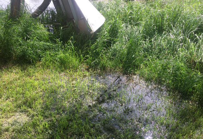 Gary DeVon/staff photo Folks living along the Okanogan River are experiencing high water, including water seeping into low spots. This boat had been pulled well out of water on the shore in Oroville above Zosel Dam.