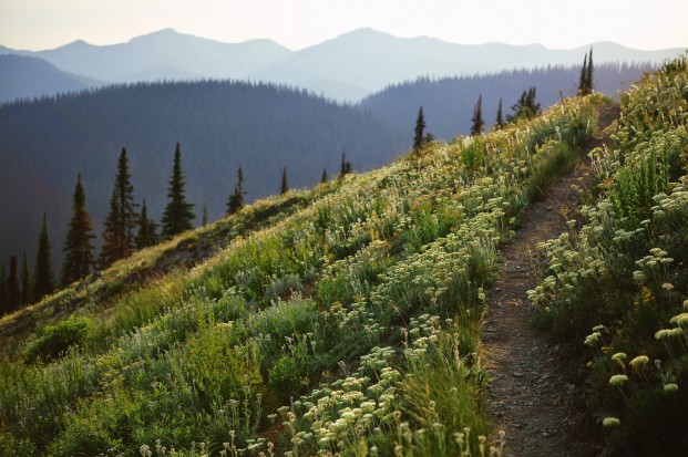 USFS photo Salmo-Priest Wilderness Trail, Colville National Forest