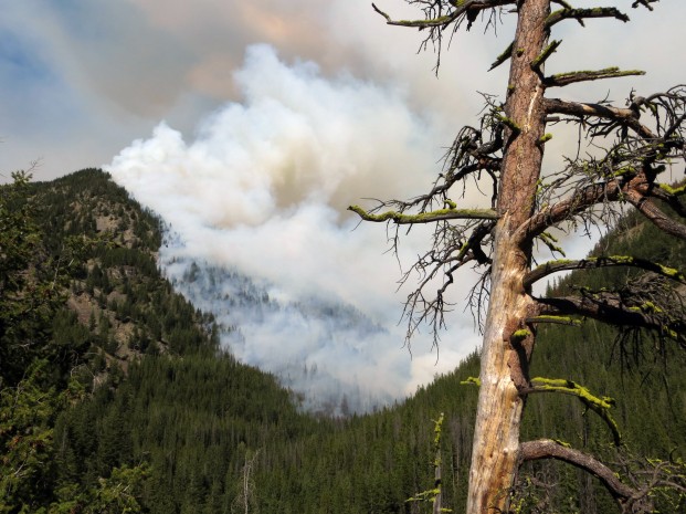 Photo by Mike Liu-USFS The Diamond Creek Fire, burning in the steep slopes of the Diamond Creek drainage of the Pasayten Wilderness has grown to more than 5000 acres. It is near the Billy Goat Trailhead and 16 air miles north of the community of Mazama.