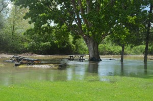 GT Flooding10-20